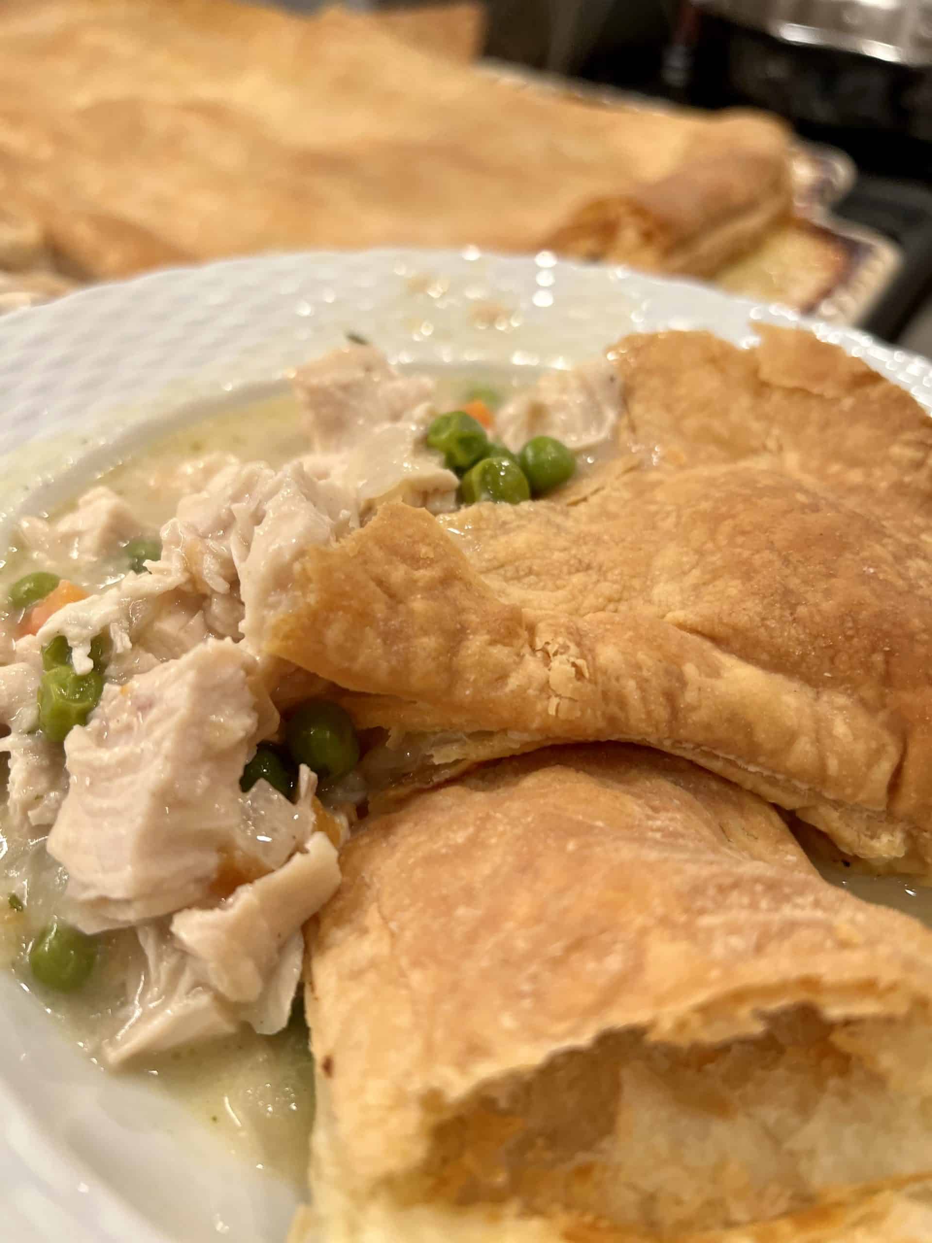 Creamy Chicken Pot Pie – My Back Kitchen – Recipes